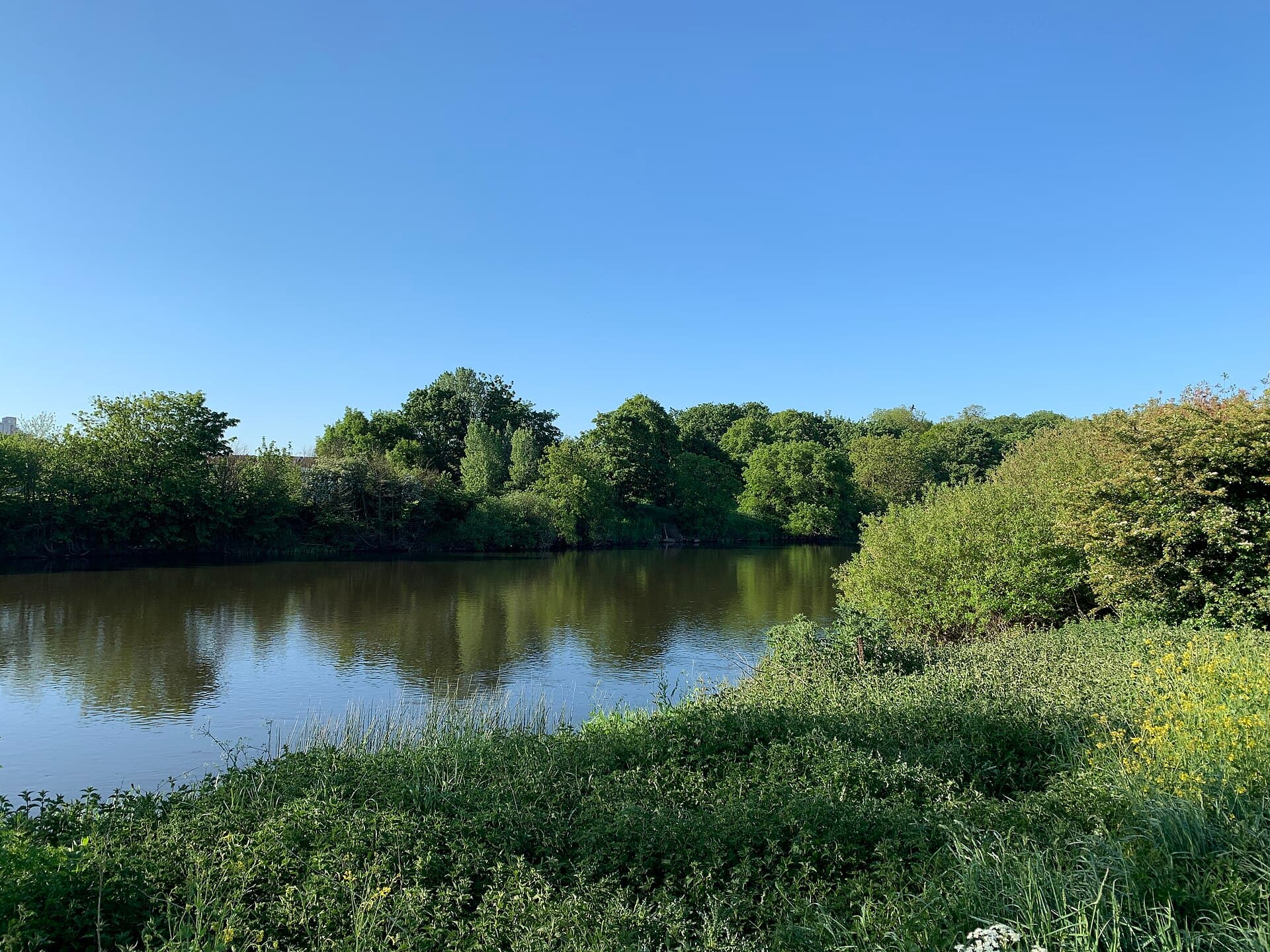 River Trent