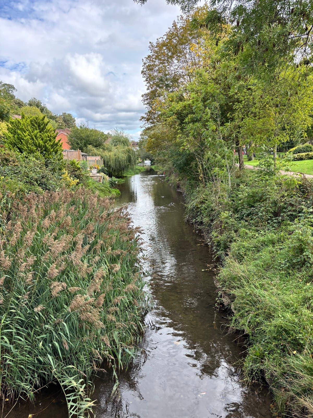 The canal seen from a bridge, towpath on the left, trees closing in on both banks